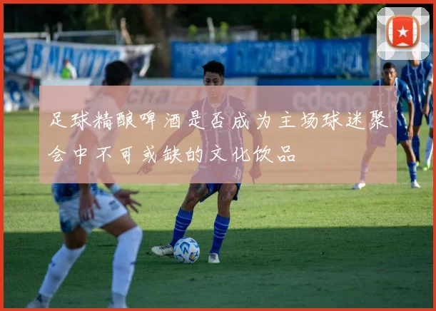 足球精酿啤酒是否成为主场球迷聚会中不可或缺的文化饮品