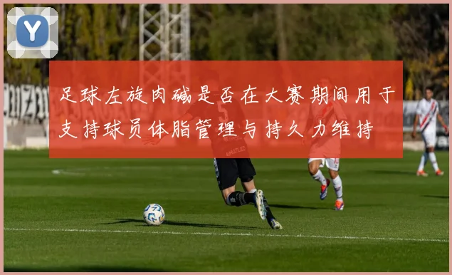 足球左旋肉碱是否在大赛期间用于支持球员体脂管理与持久力维持