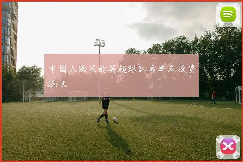中国人购买的英超球队名单及投资现状