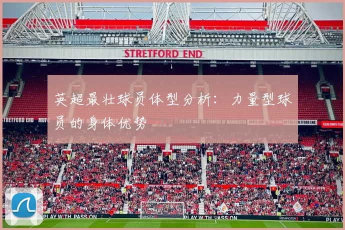 英超最壮球员体型分析：力量型球员的身体优势