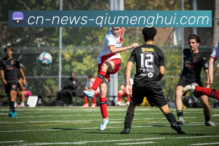 球盟会平台生态图